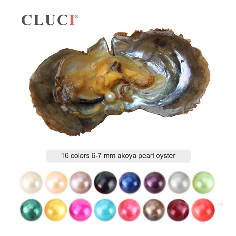 CLUCI   ȭƮ 6-7mm     16  ..
